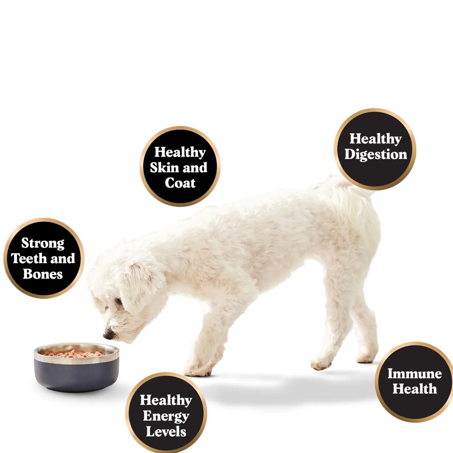 Raw Lamb Dinner Adult Dog Food