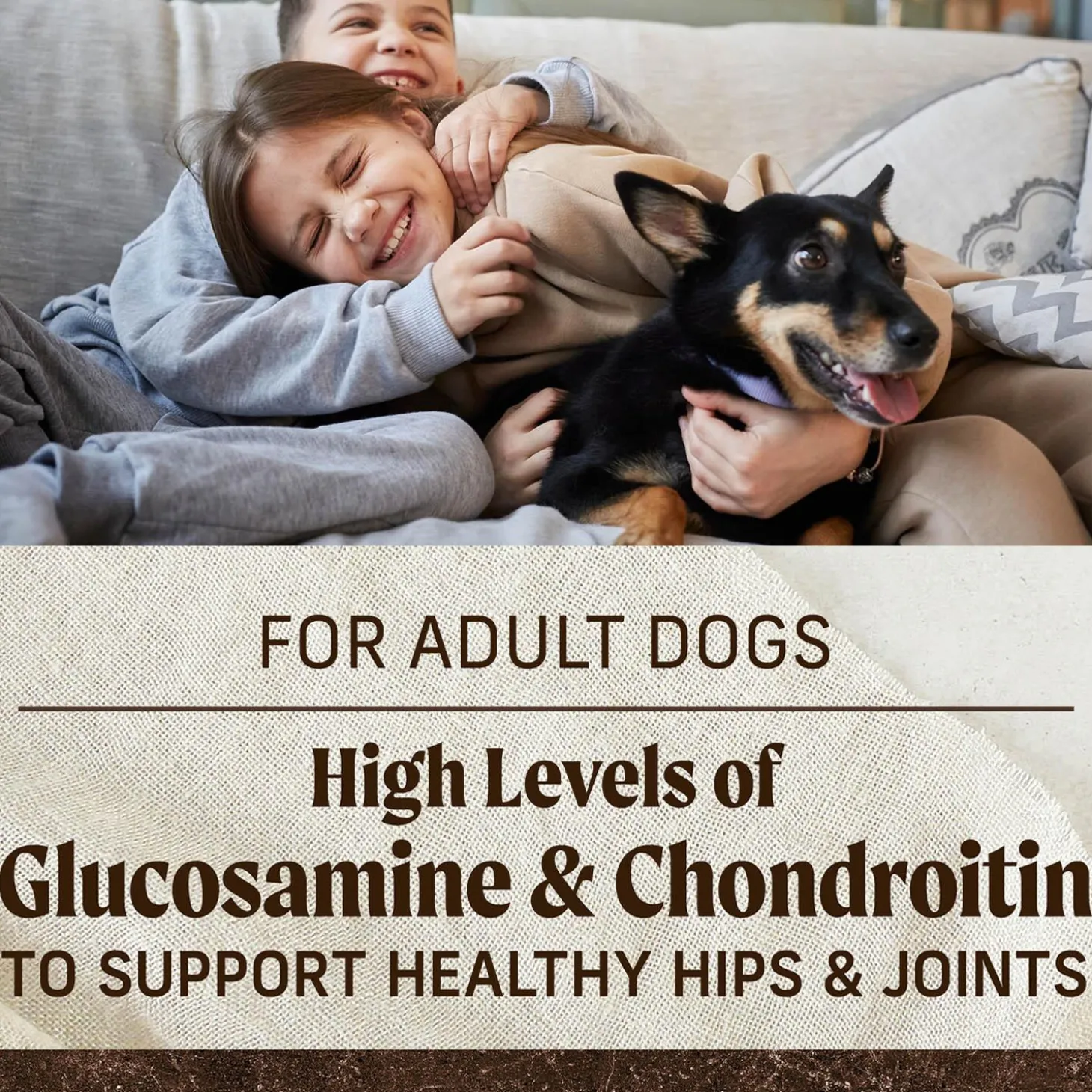 Real Chicken + Sweet Potato Recipe Puppy Dog Food