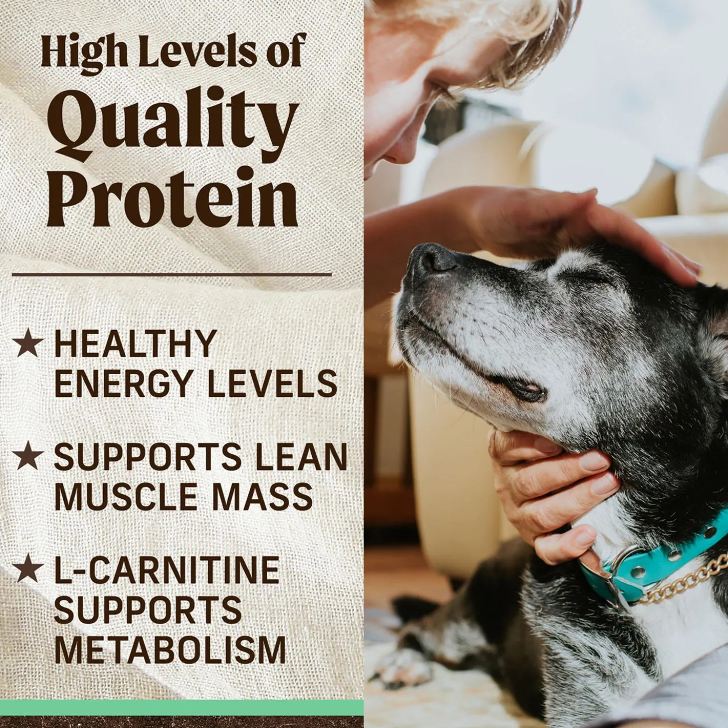 Real Chicken + Sweet Potato Recipe Senior Dog Food