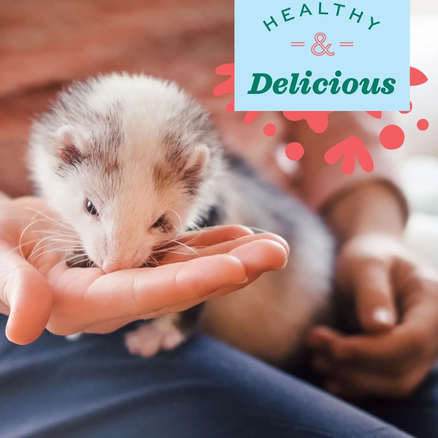 Real Prey Rewards Chicken Flavour Ferret Treats