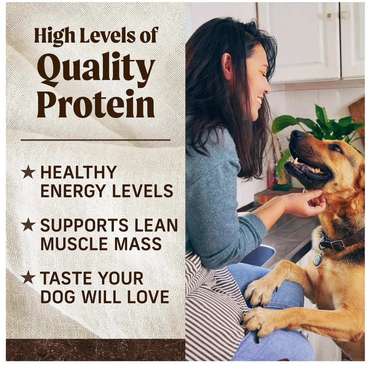 Real Salmon + Sweet Potato Recipe Adult Dog Food