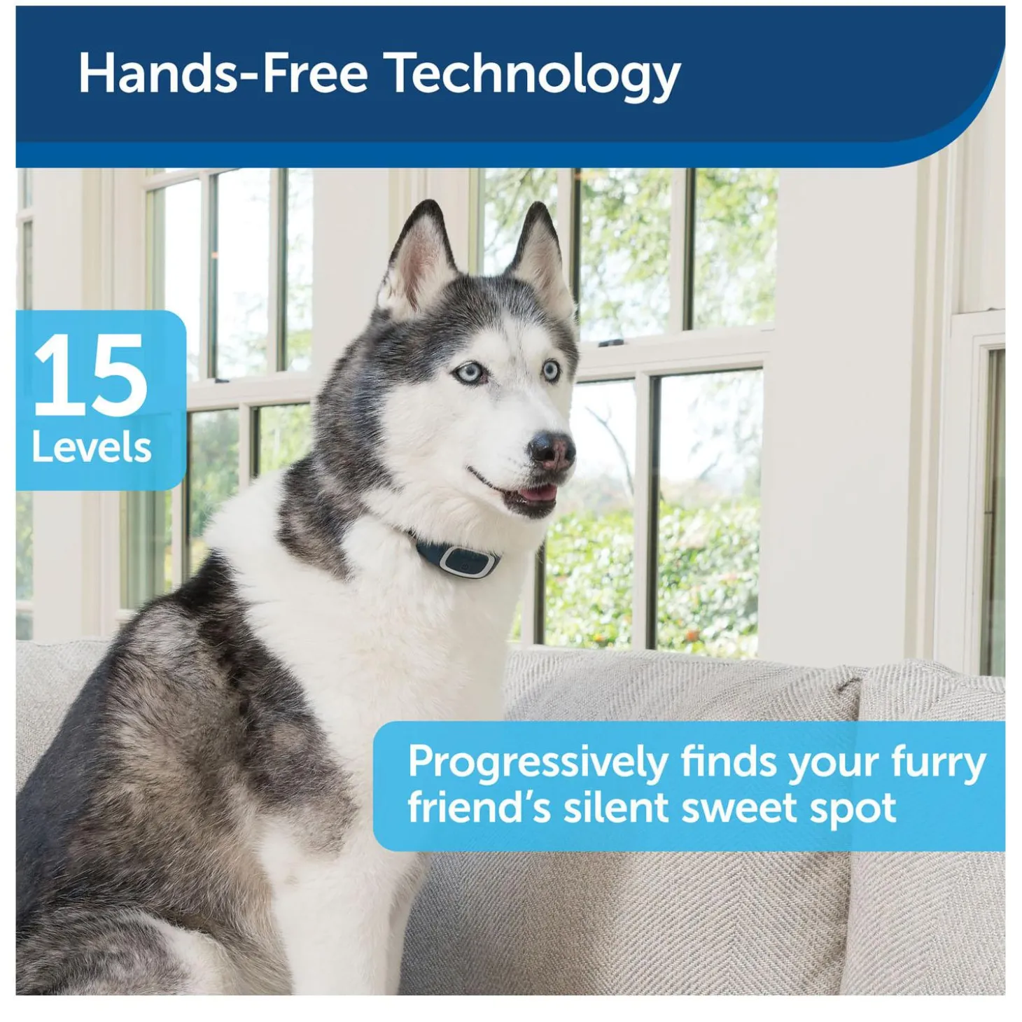 Rechargeable Bark Control Dog Collar