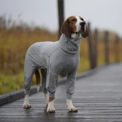 Recovery Grey Overalls