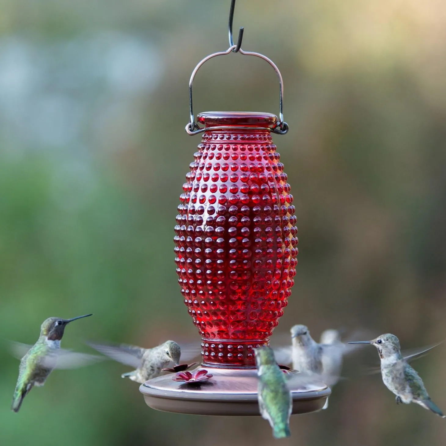 Red Hobnail Vintage Hummingbird Feeder