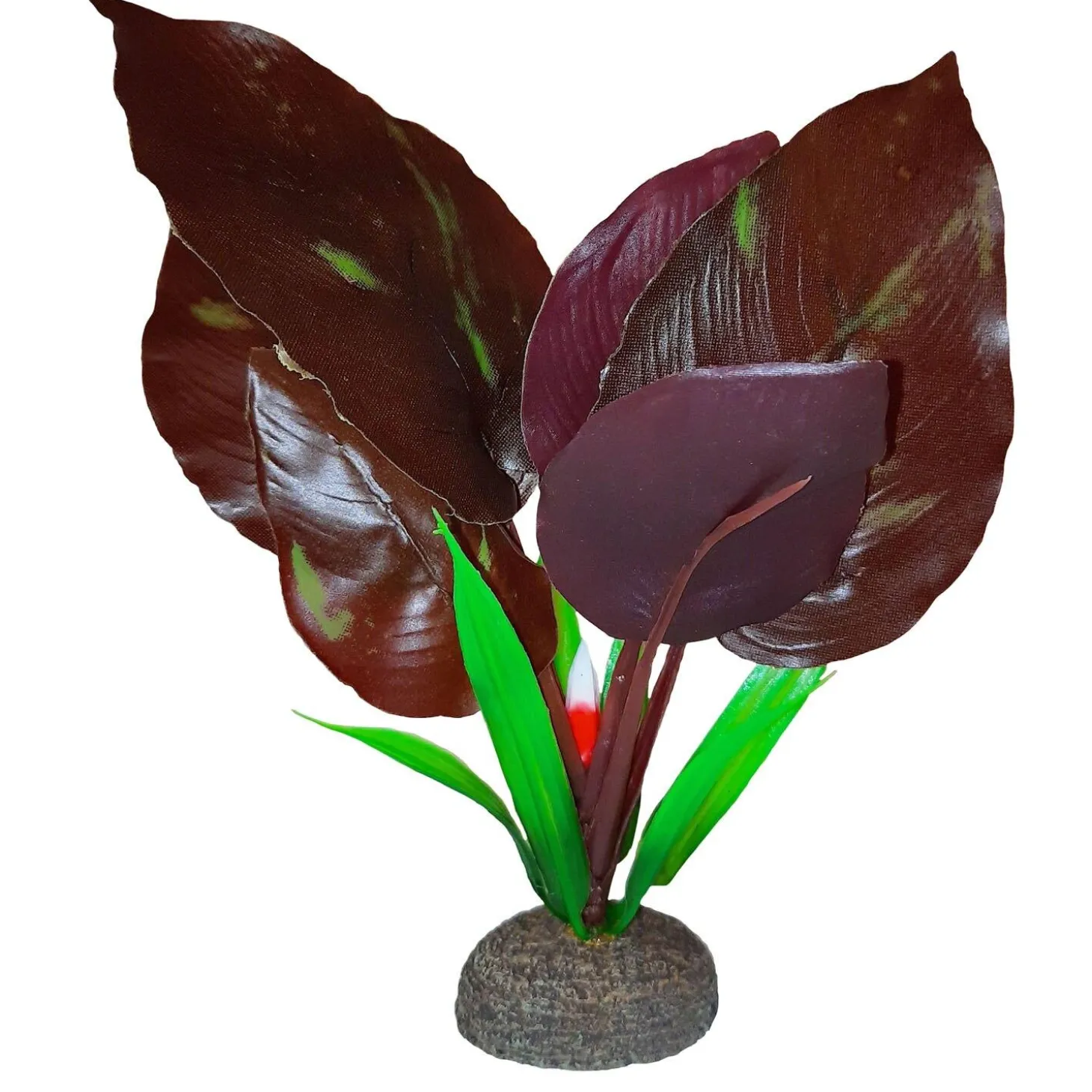 Red Lizard Betta Plant