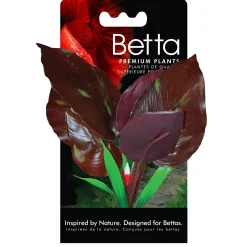 Red Lizard Betta Plant