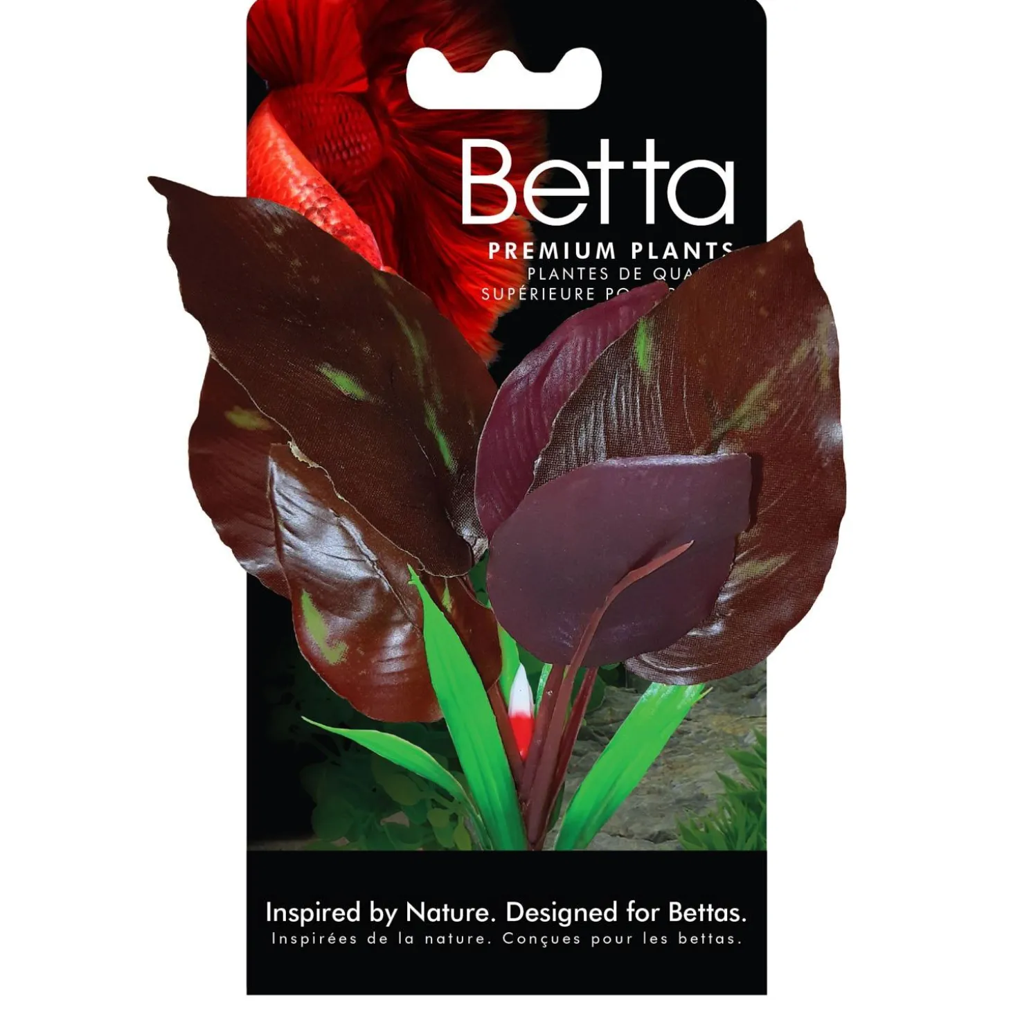 Red Lizard Betta Plant