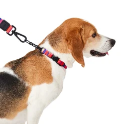 Red Stripe Dog Leash