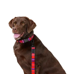 Red Stripe Dog Leash