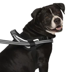 Re-Direct Black & Grey Dog Harness