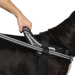 Re-Direct Black & Grey Dog Harness