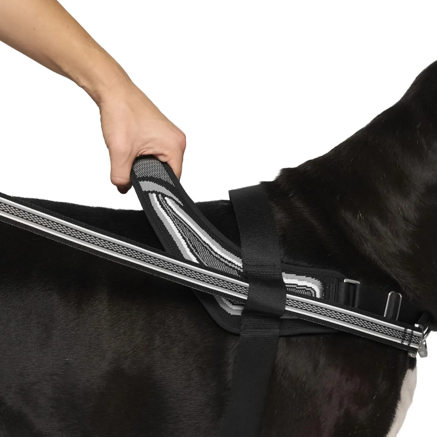 Re-Direct Black & Grey Dog Harness