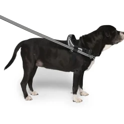 Re-Direct Black & Grey Dog Harness