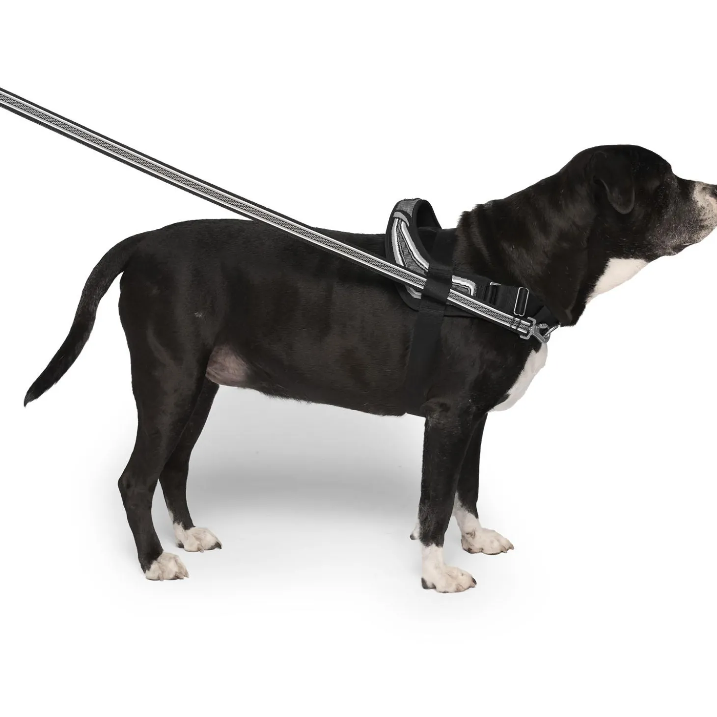 Re-Direct Black & Grey Dog Harness