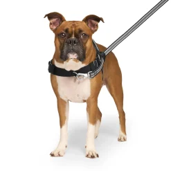 Re-Direct Black & Grey Dog Harness