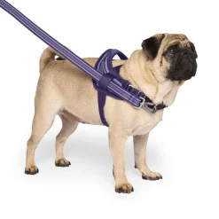 Re-Direct Purple & Lavender Dog Harness