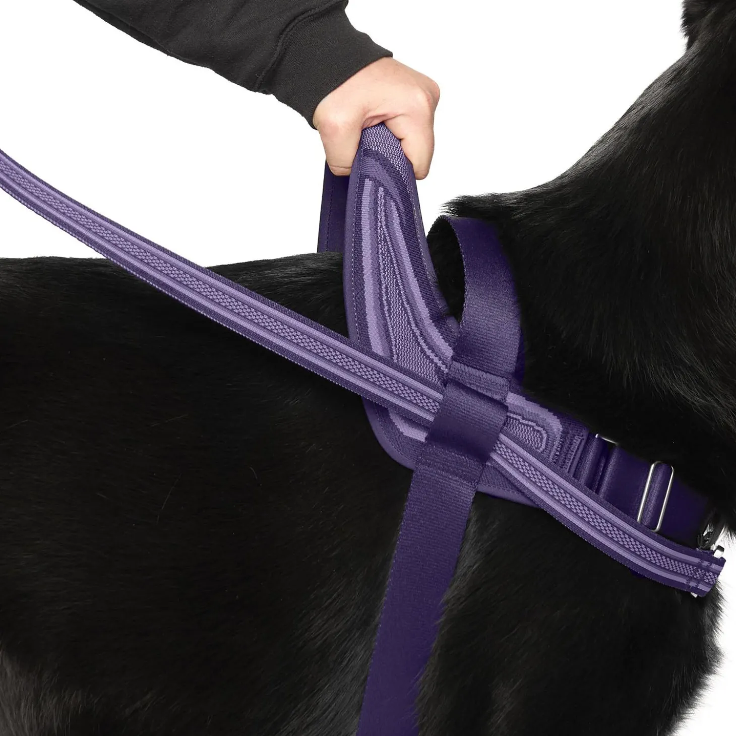 Re-Direct Purple & Lavender Dog Harness
