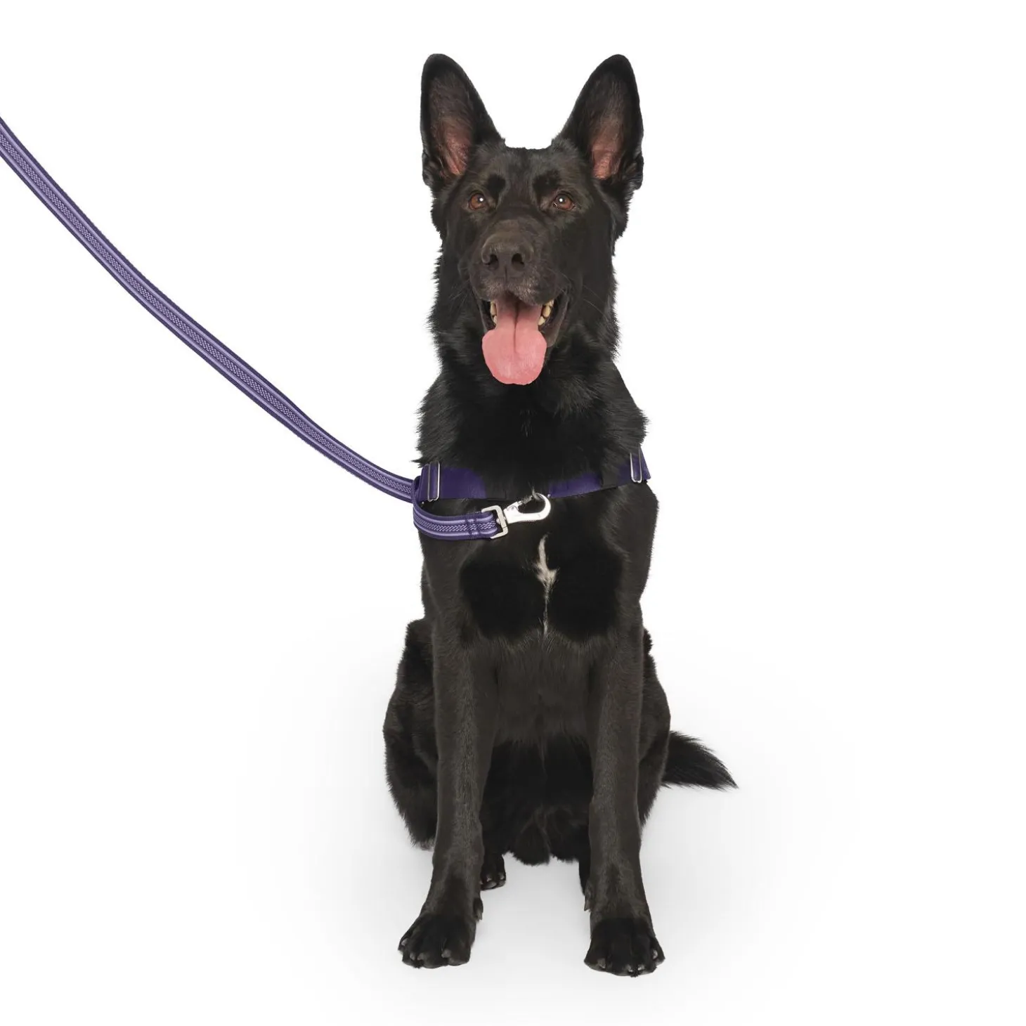 Re-Direct Purple & Lavender Dog Harness