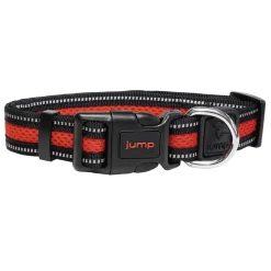 Reflective Air Mesh Orange Dog Collar