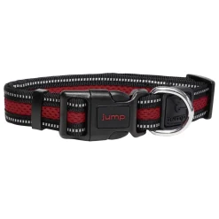 Reflective Air Mesh Red Dog Collar