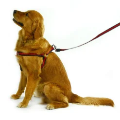 Reflective Air Mesh Step-In Red Dog Harness