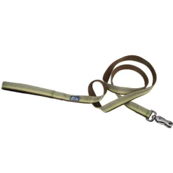 Reflective Nylon Scissor Snap Dog Leash 1in - Fern