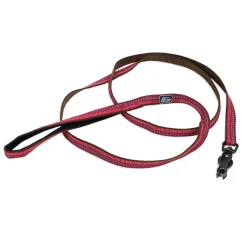 Reflective Nylon Scissor Snap Dog Leash 1in - Berry