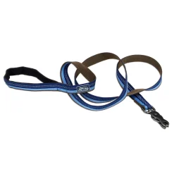 Reflective Nylon Scissor Snap Dog Leash 1in - Sapphire