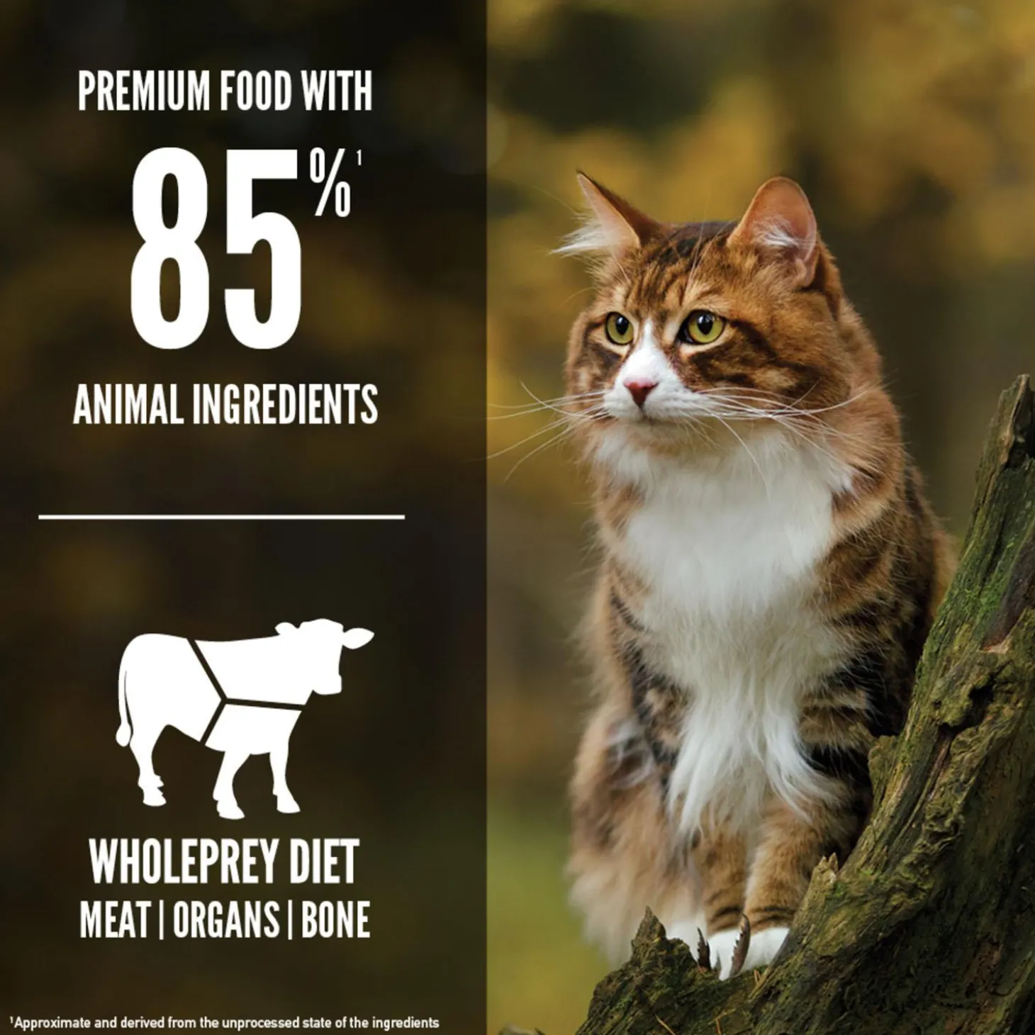 Regional Red Cat Food