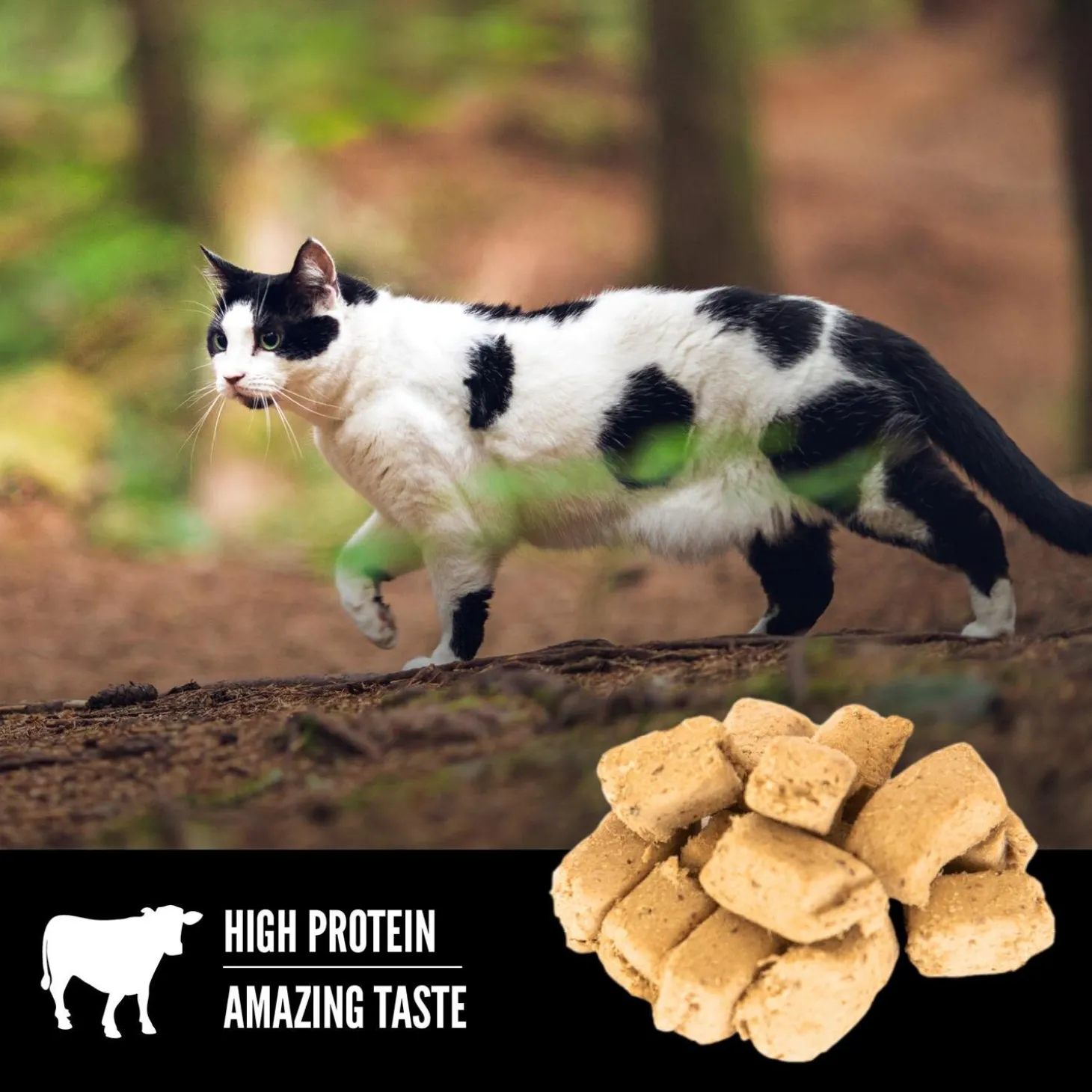 Regional Red Freeze-Dried Cat Treats