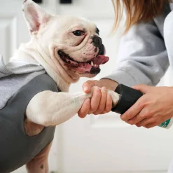 Regular All Season All Terrain Black Dog Boots