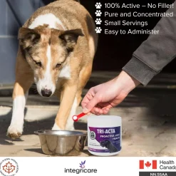 Regular Strength Proactive Joint Health Supplement