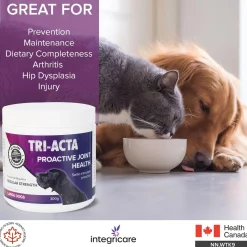 Regular Strength Proactive Joint Health Supplement