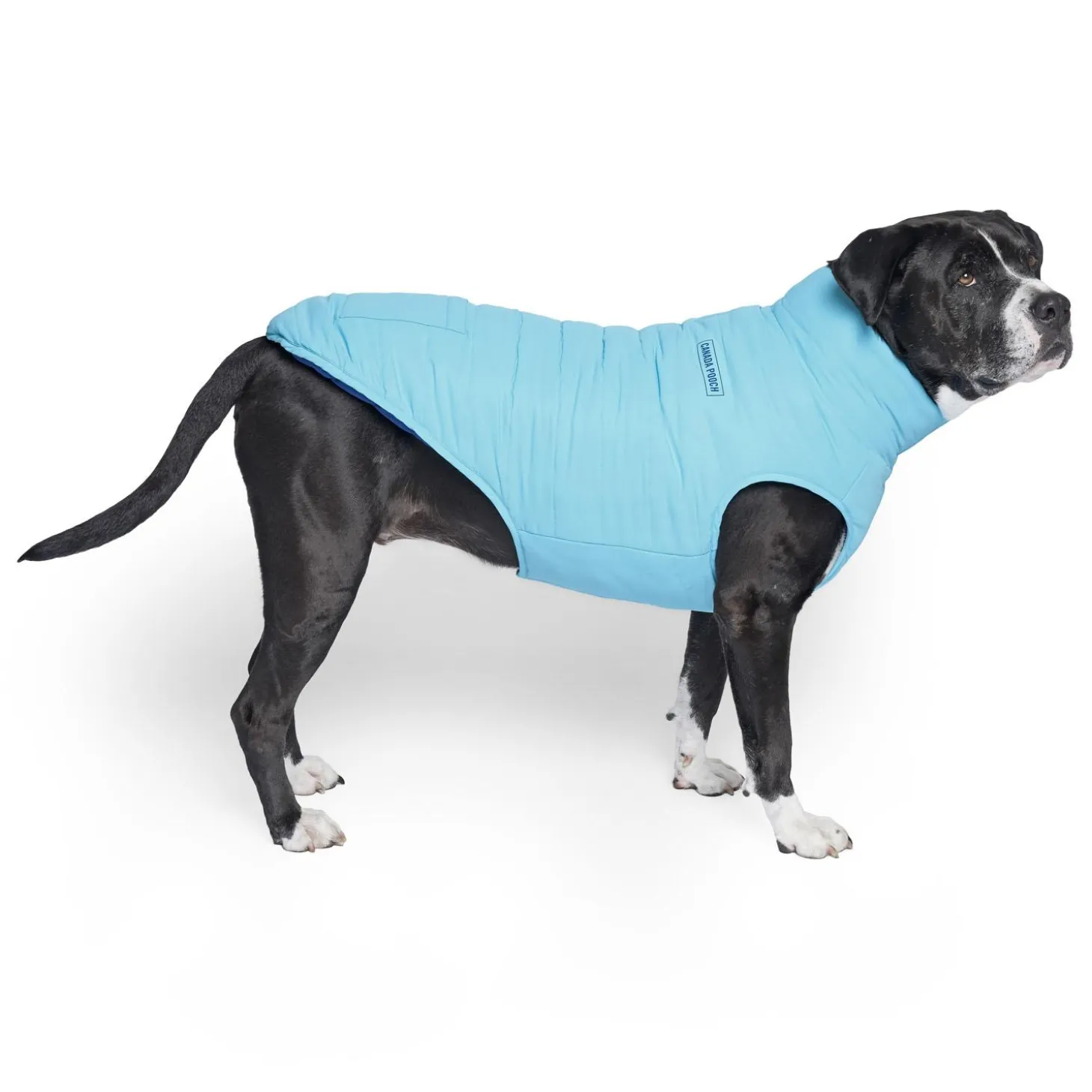 Reversible Blue & Teal Puffer Vest