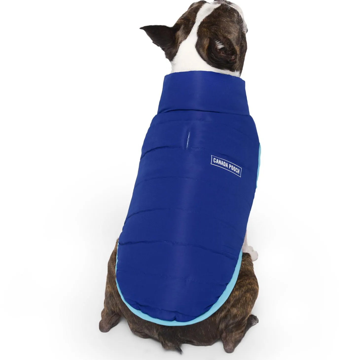 Reversible Blue & Teal Puffer Vest