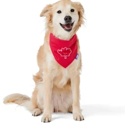 Reversible Canadiana Bandana