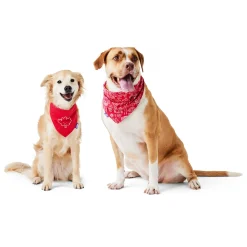 Reversible Canadiana Bandana