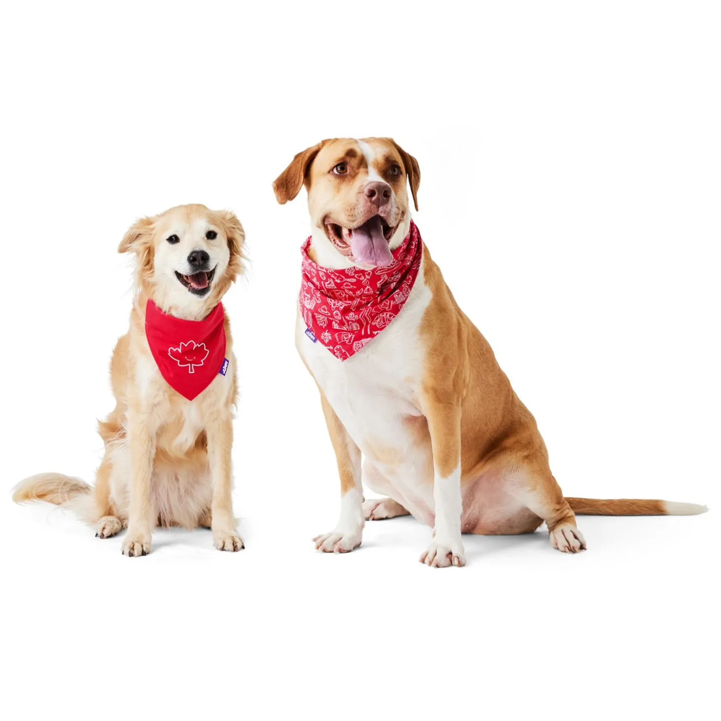 Reversible Canadiana Bandana