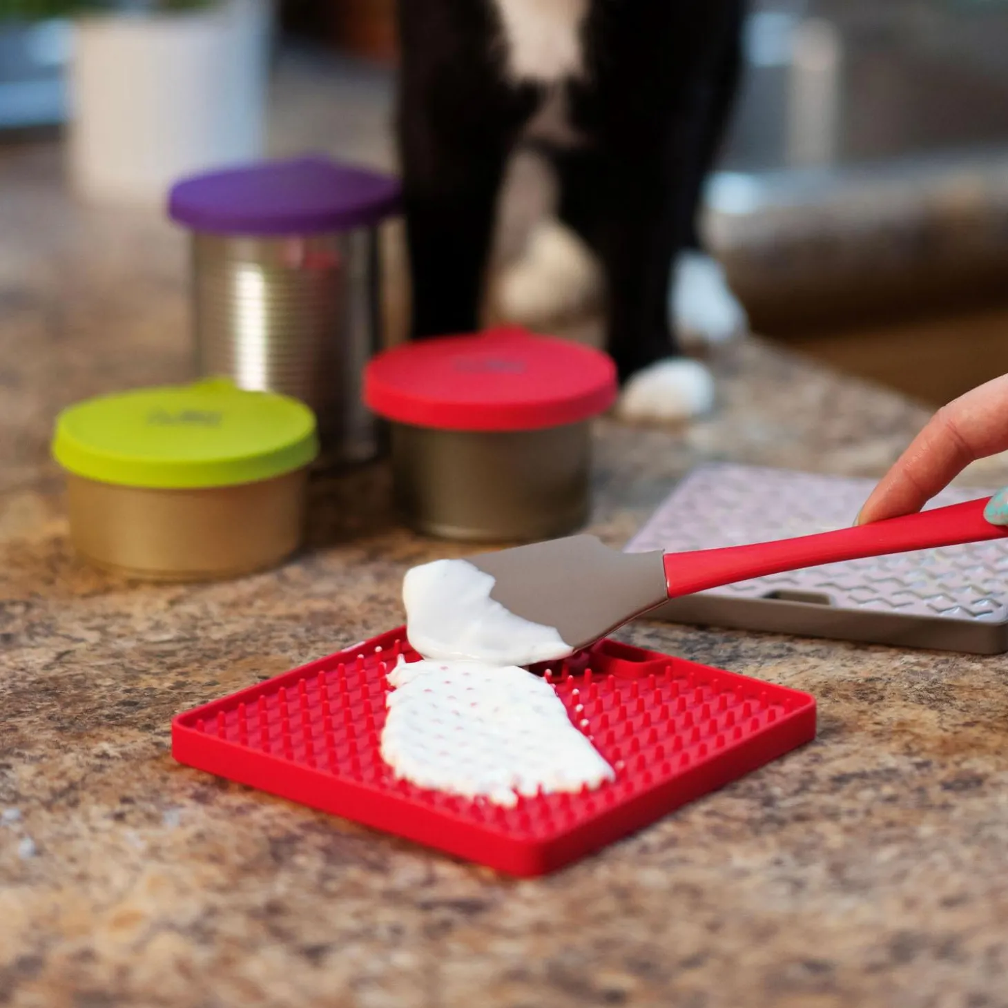 Reversible Interactive Grey Feeding & Licking Mat