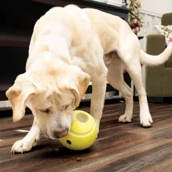 Rewards Tennis Dog Toy