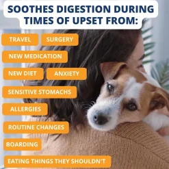 Rice, Chicken & Pumpkin Freeze Dried Bland Dog Diet