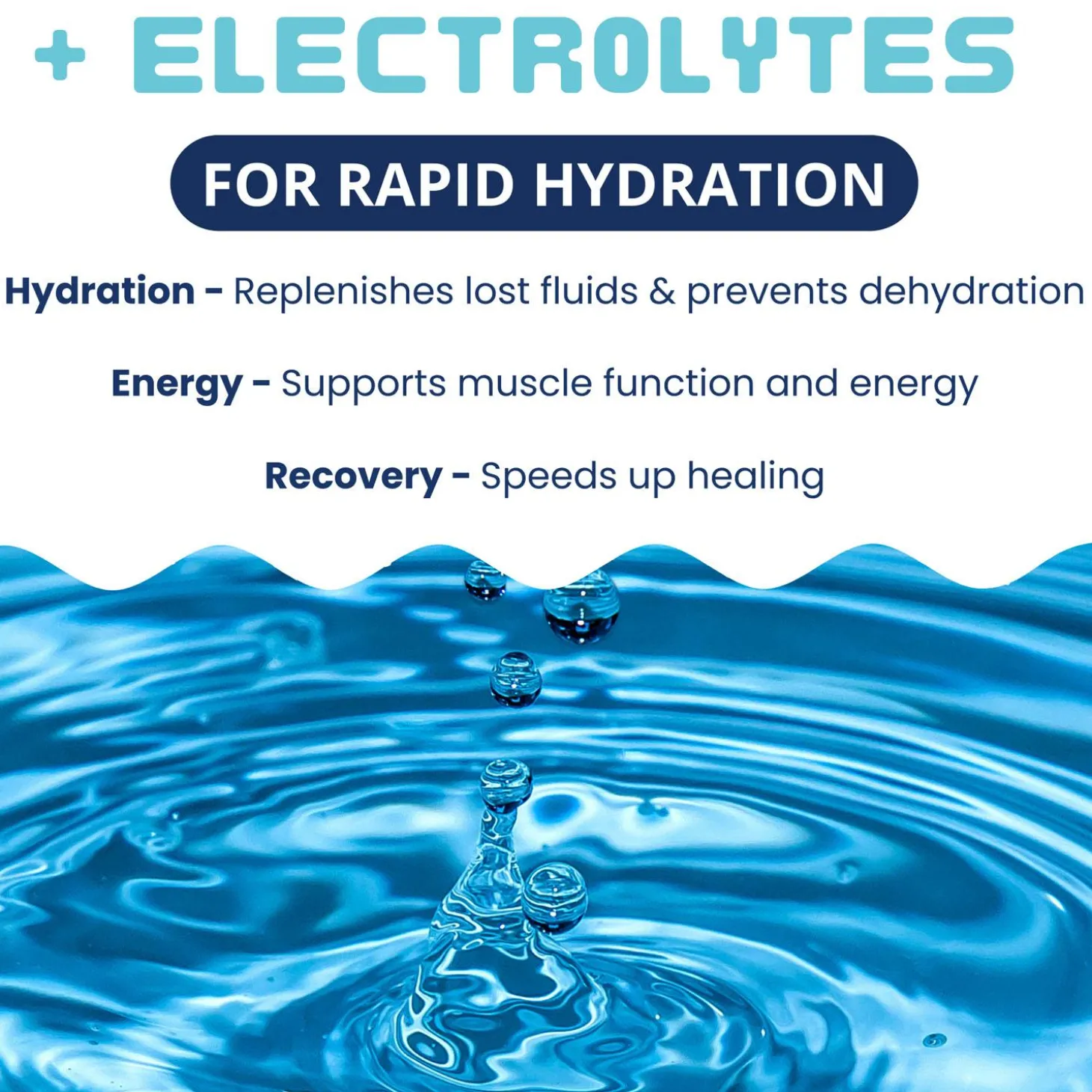 Rice, Chicken & Pumpkin Freeze Dried Bland Dog Diet