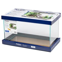 Rimless Rectangle Aquarium
