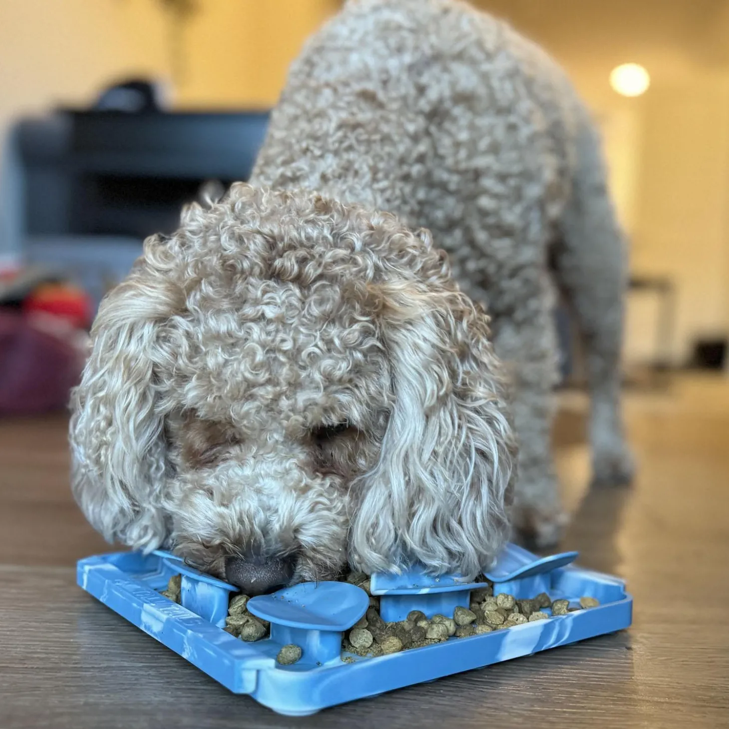 River Rock Blue Foraging Mat