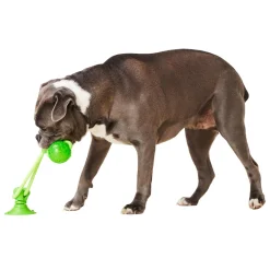 Rope and Ball Dog Toy