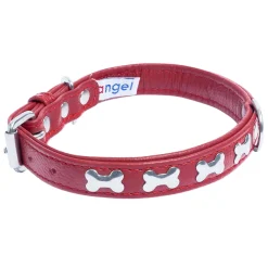 Rotterdam Bones Leather Collar - Red