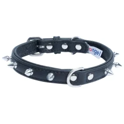 Rotterdam Dog Collar Leather Spiked Midnight Black