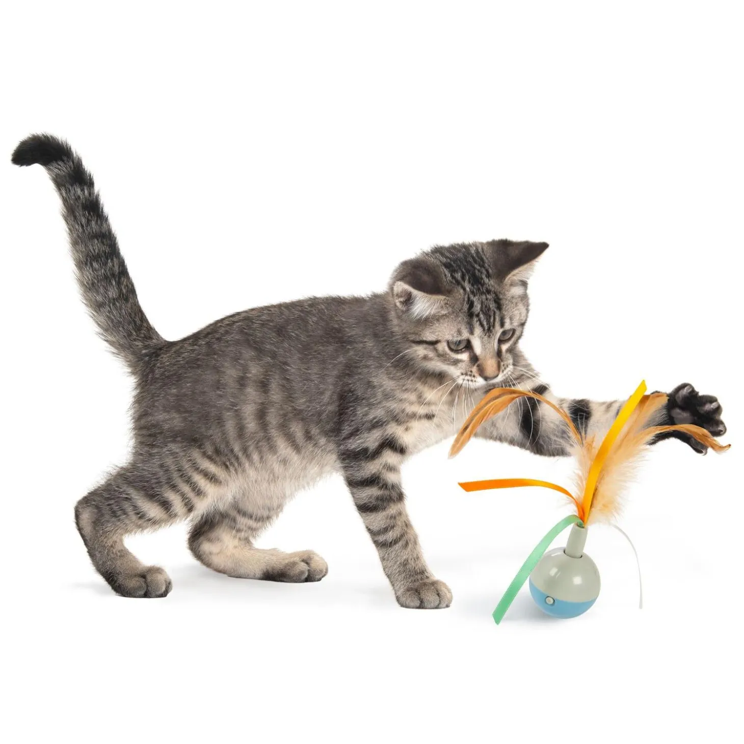 Rowdy Ribbons Cat Toy