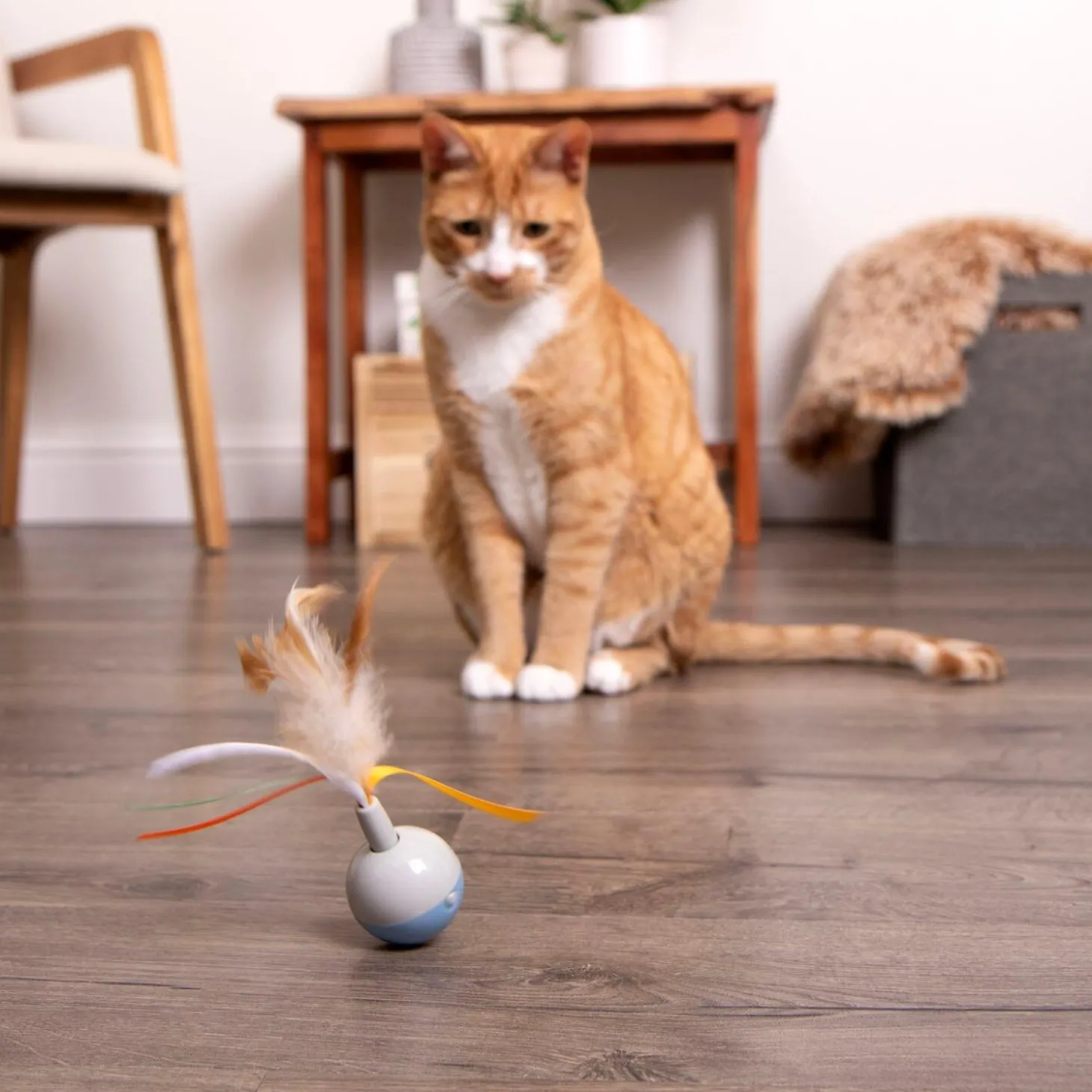 Rowdy Ribbons Cat Toy