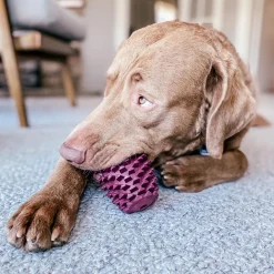 Rubber Pinecone Dog Toy
